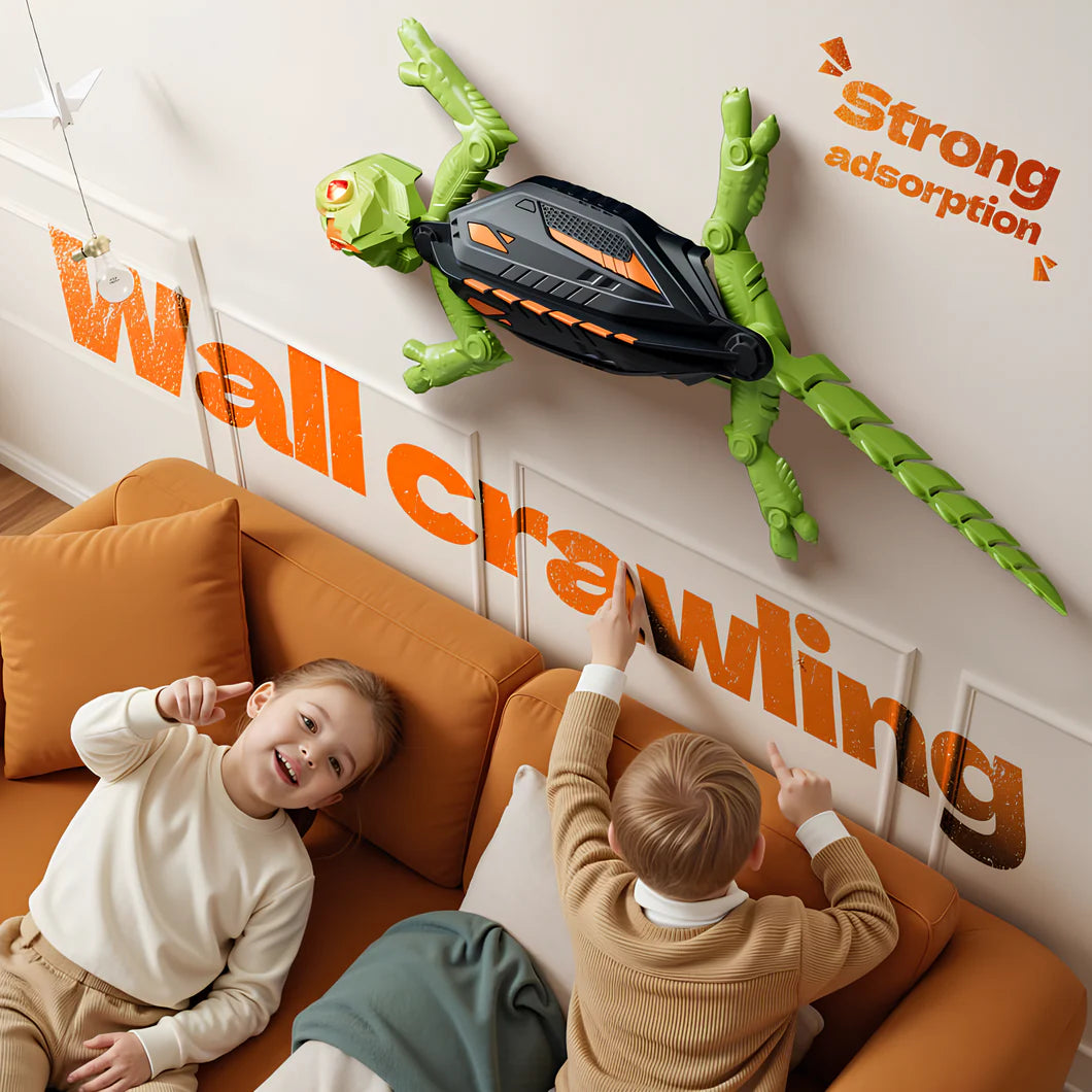 Wall Crawler Gecko